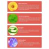 CLINICLAB PRO+ INSTANT رول أرنيكا المهدئ الفوري 10 مل - Image 2